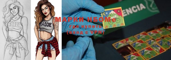 молекула духа Алексин