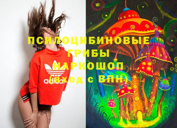 молекула духа Алексин