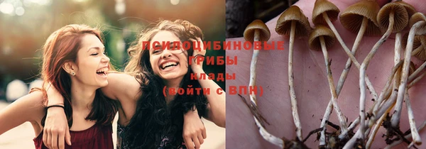 молекула духа Алексин